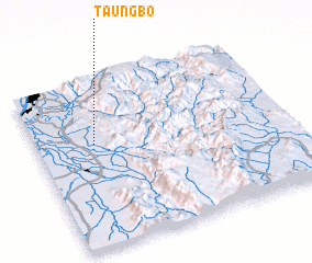 3d view of Taungbo