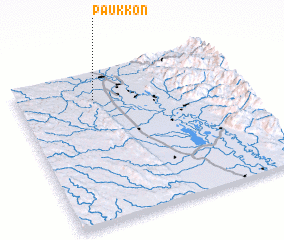 3d view of Paukkon