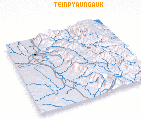 3d view of Teinpyaung Auk