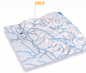 3d view of Salu