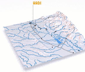 3d view of Wadi