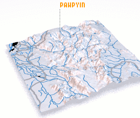 3d view of Pawpyin