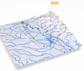 3d view of Goni