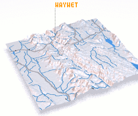 3d view of Waywet