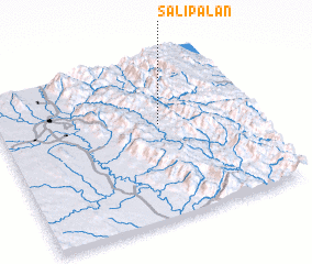 3d view of Salipalan
