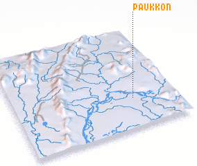 3d view of Paukkôn