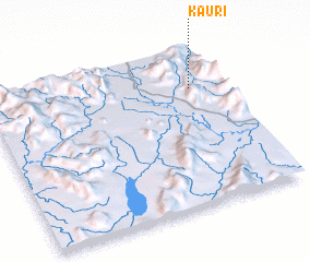 3d view of Kauri