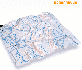 3d view of Wabogonywa