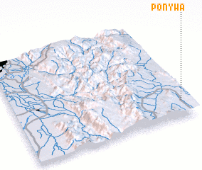 3d view of Ponywa