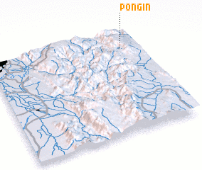 3d view of Pongin