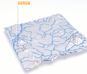 3d view of Gonga
