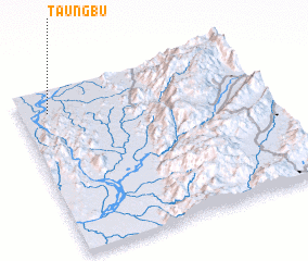 3d view of Taungbu