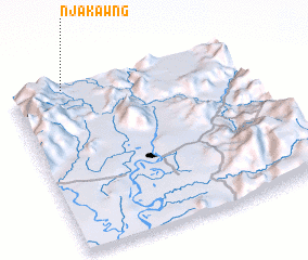 3d view of Njakawng