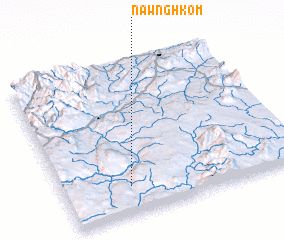 3d view of Nawnghkom