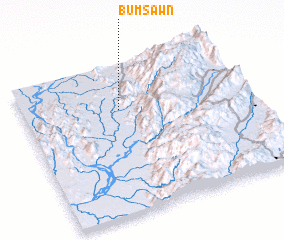 3d view of Bumsawn