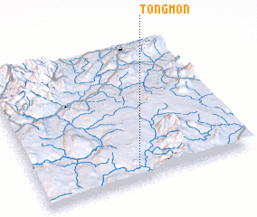 3d view of Tongmon