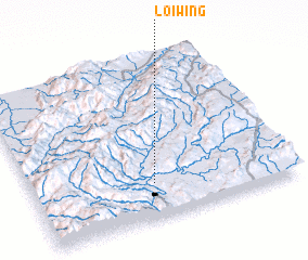 3d view of Loi-wing