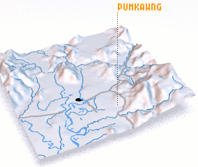3d view of Pumkawng