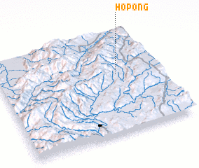 3d view of Ho-pong