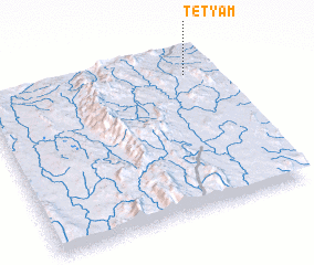 3d view of Tetyam