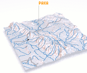 3d view of Paka