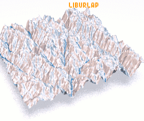 3d view of Liburlap