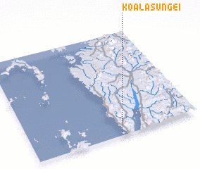 3d view of Koala Sungēi