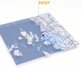 3d view of Payut