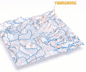 3d view of Yawnghong