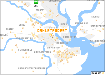 map of Ashley Forest