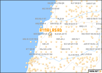 map of ‘Ayn al Asad