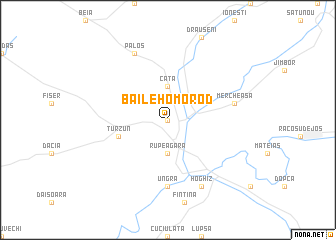 map of Băile Homorod