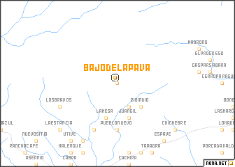 map of Bajo de la Pava