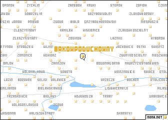 map of Bąków Poduchowny