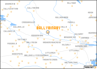 map of Ballybinaby