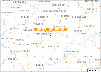 map of Ballynagussaun