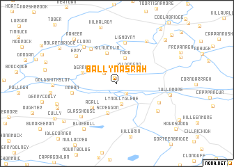 map of Ballynasrah