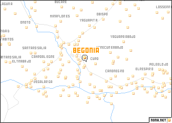 map of Begonia