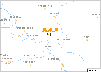 map of Begonia