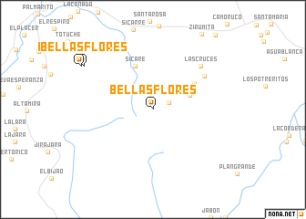 map of Bellas Flores