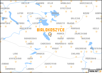 map of Białokoszyce