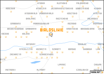 map of Białośliwie