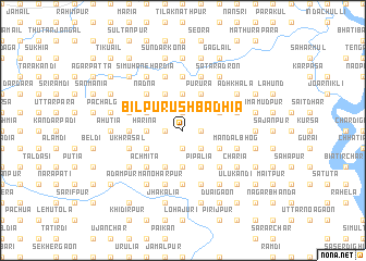 map of Bil Purushbadhia