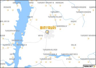 map of Bin Yauri