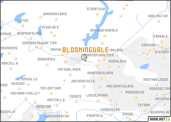 map of Bloomingdale