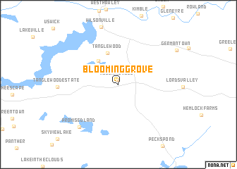 map of Blooming Grove