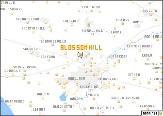 map of Blossom Hill