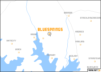 map of Blue Springs