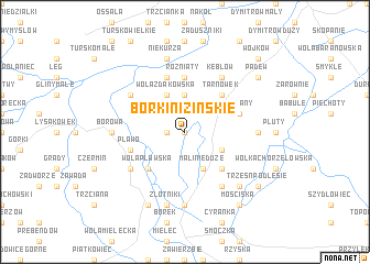 map of Borki Nizińskie