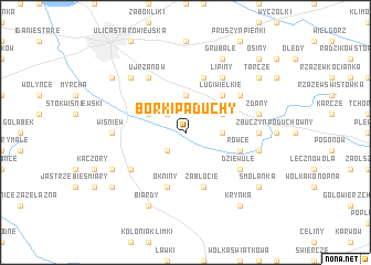 map of Borki Paduchy